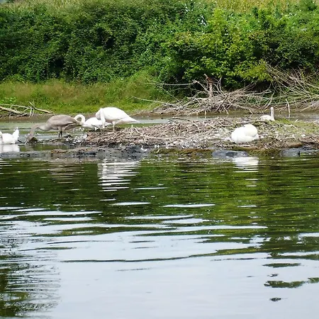 Gostifrance 게스트하우스 3*