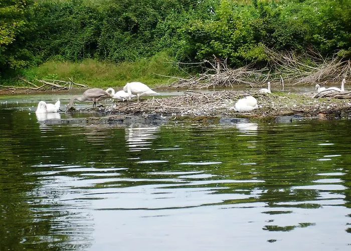 Gostifrance Πανσιόν 3*