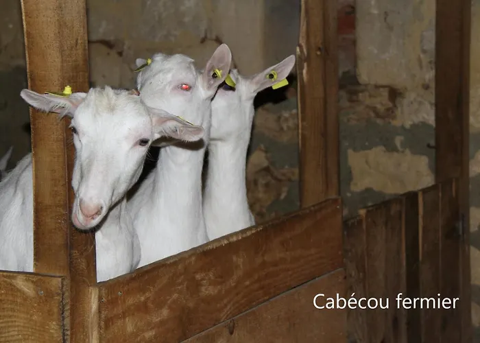 Gostifrance Πανσιόν